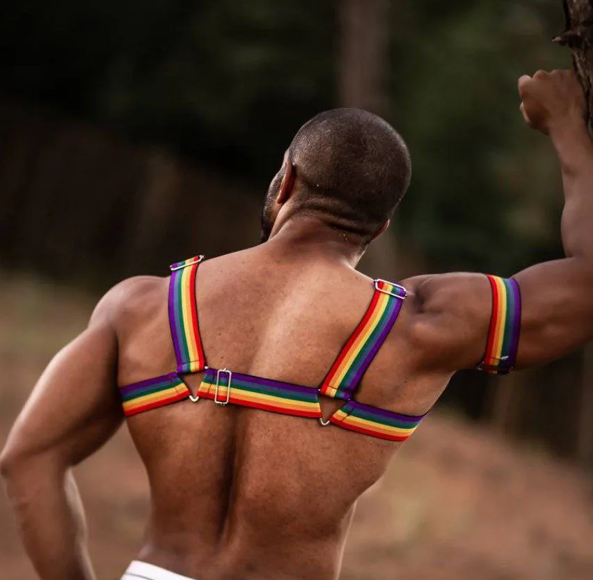 Harness Pride em Elástico Arco Íris Aslan - Imagem 2