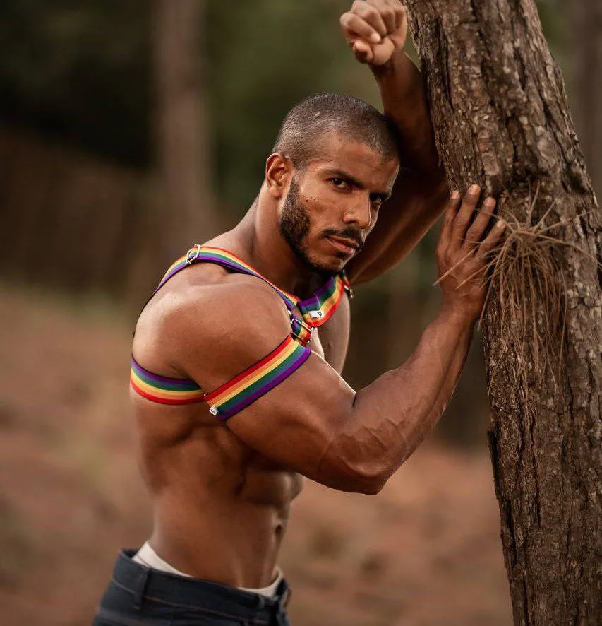 Harness Pride em Elástico Arco Íris Aslan - Imagem 3