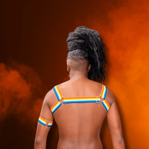 Harness Aroace - Imagem 4
