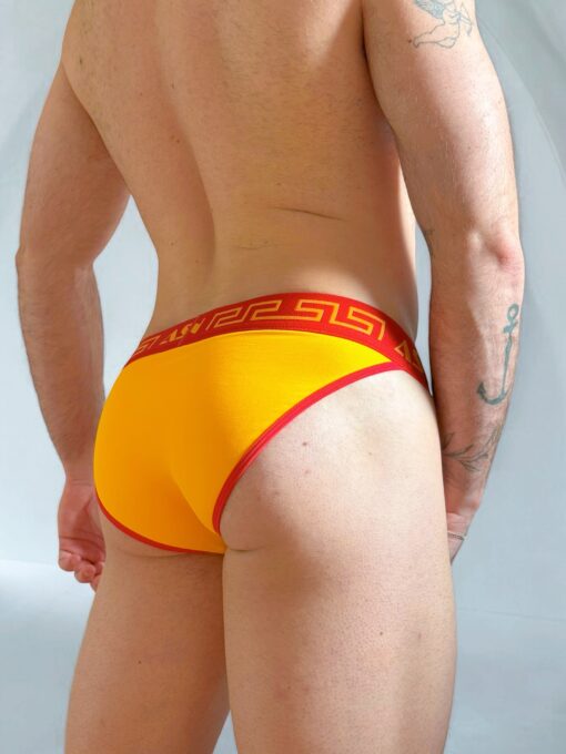 Tanga Amarela line Vermelho - Imagem 2