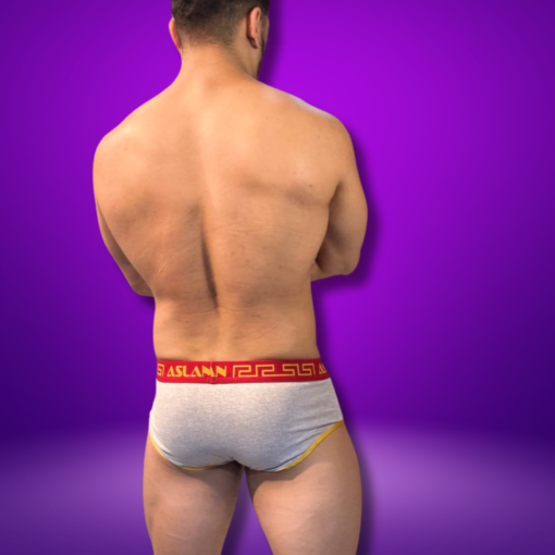 CUECA SLIP CINZA ALGODÃO LINE OURO - Imagem 4