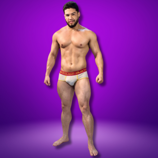 CUECA SLIP CINZA ALGODÃO LINE OURO - Imagem 2