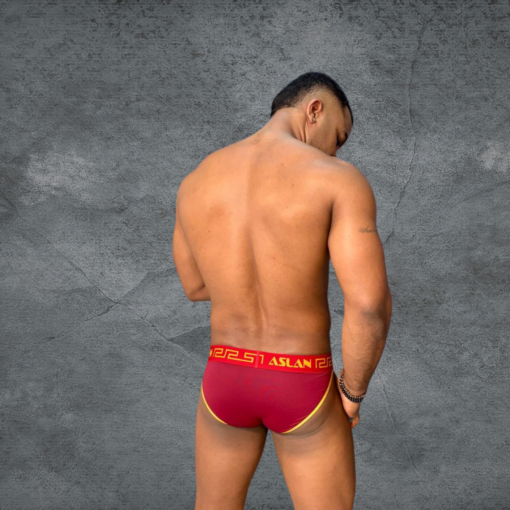 Tanga bordo line dourado - Imagem 2
