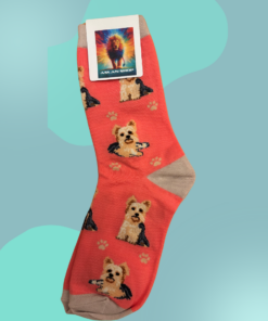 Meia Dog 27