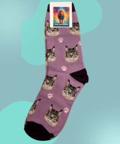 Meia Gatos 04