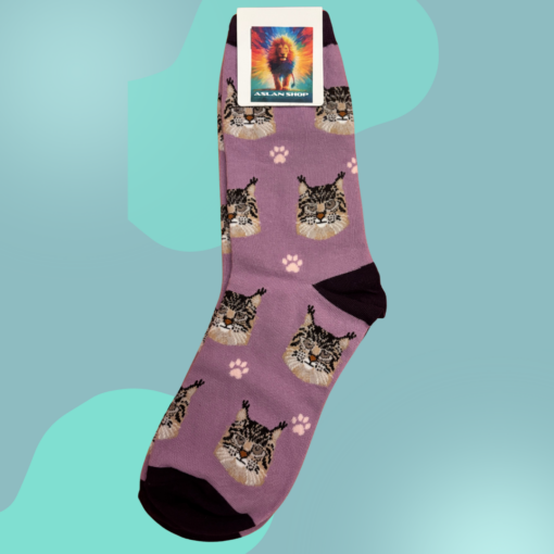 Meia Gatos 04
