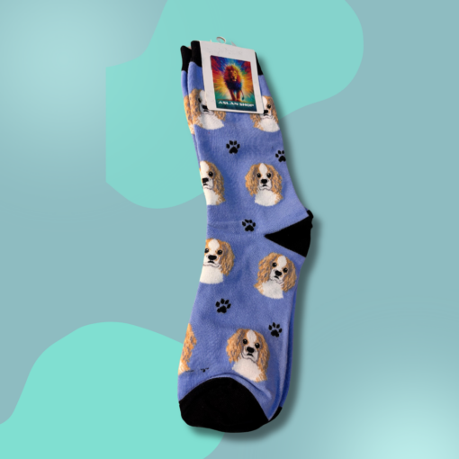 Meia Dog 54