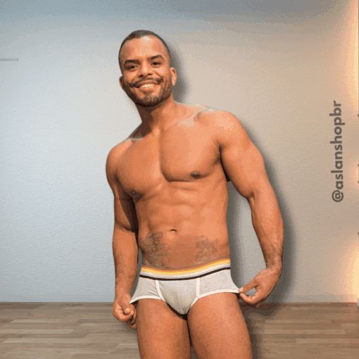 Cueca Cinza line Branco Bear - Imagem 4