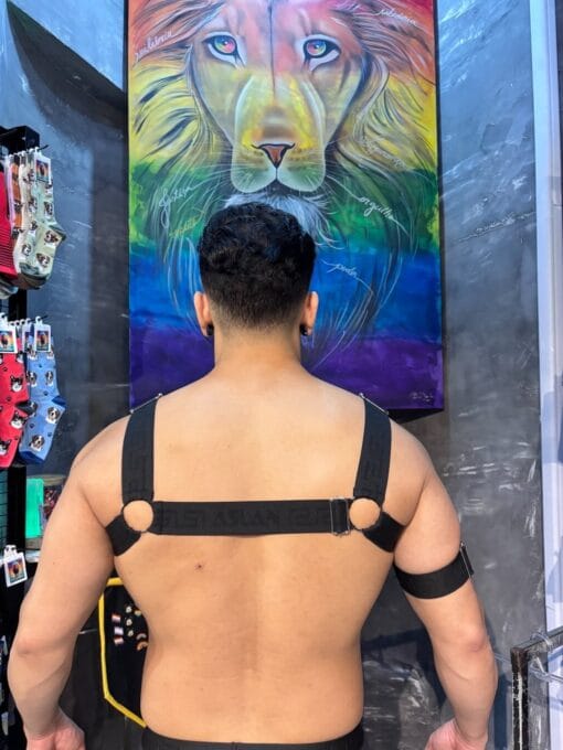 Harness Preto em Elástico Liso - Imagem 2