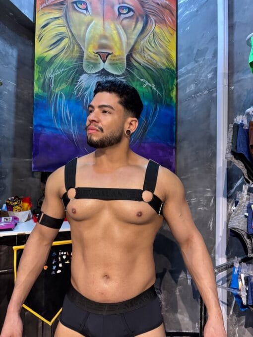 Harness Preto em Elástico Liso