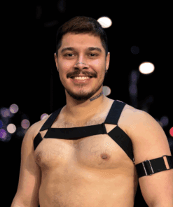 Harness Petro em X