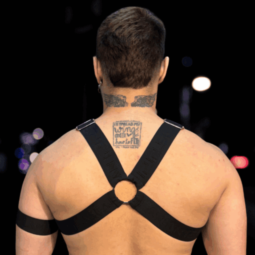 Harness Petro em X - Imagem 2