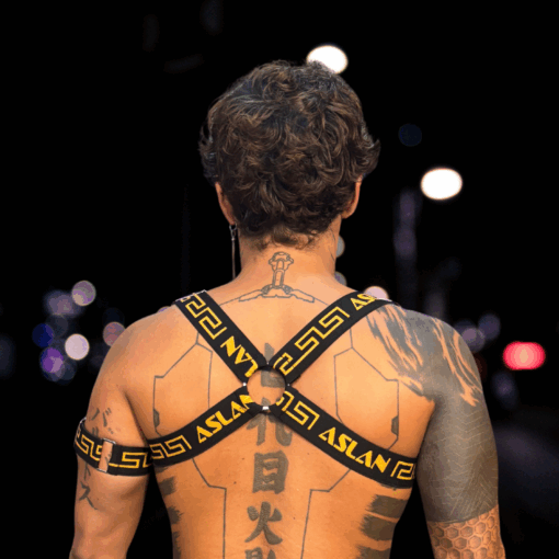 Harness Petro e Dourado em X - Imagem 3