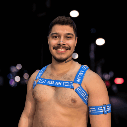 Harness Azul em X