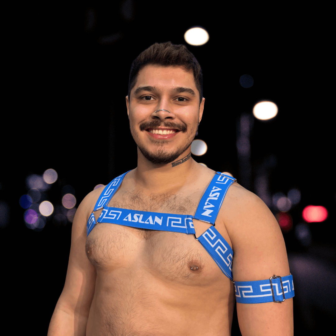 Harness Azul em X