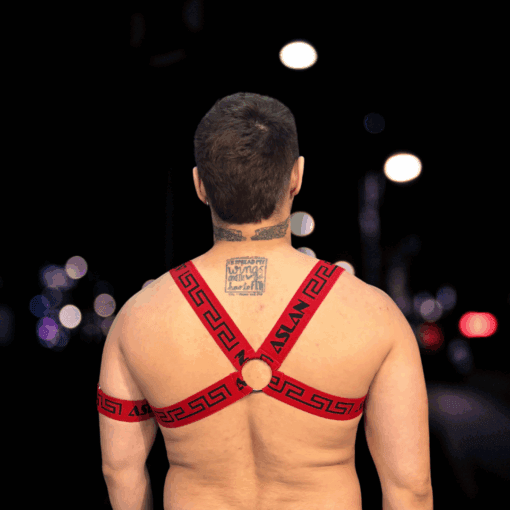 Harness Vermelho e Preto X - Imagem 2