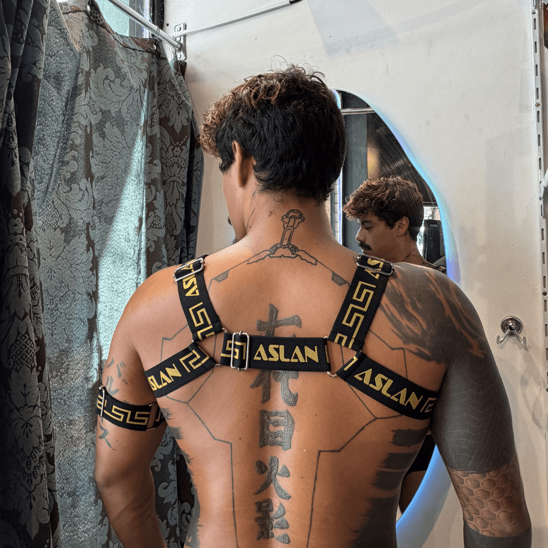 Harness Preto e Dourado - Imagem 2