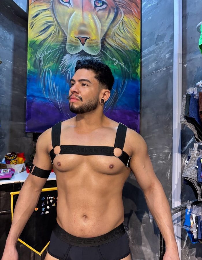 Harness Preto em Elástico Liso