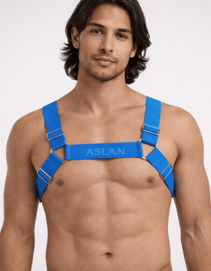 Harness Azuis Aslan