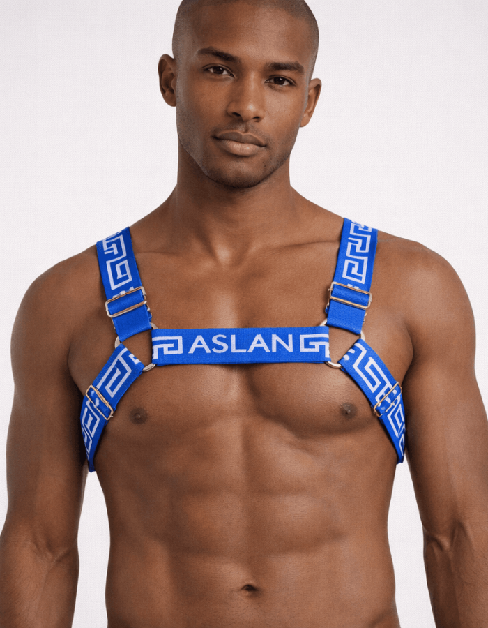 Harness Azul Royal Fire