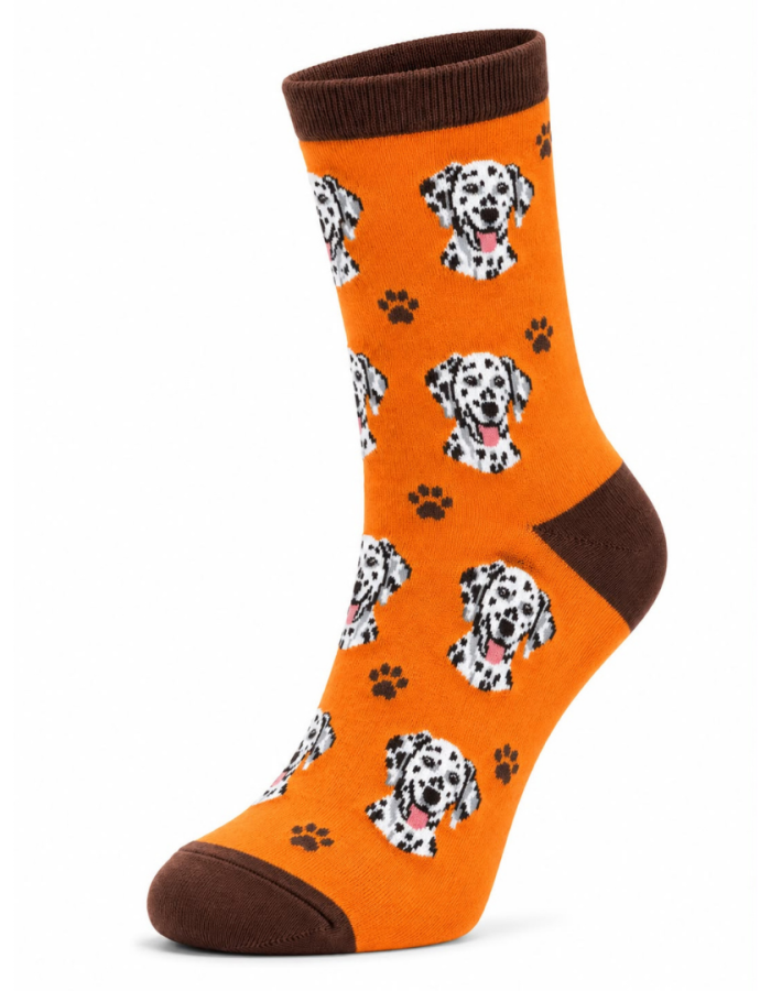 Meia Dalmata 33-39