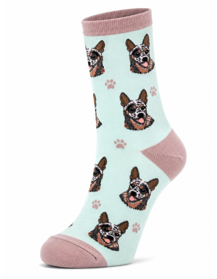 Meia Dog 33-39