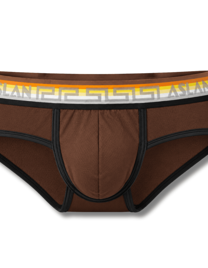Cueca Marron line Preto Ursos