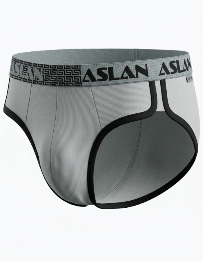 Cueca Slip Aslan Taurus Cinza| Coleção Limitada