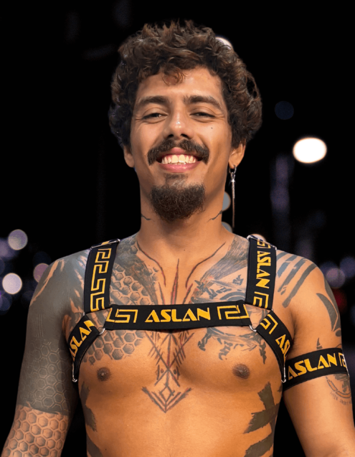 Harness Petro e Dourado em X