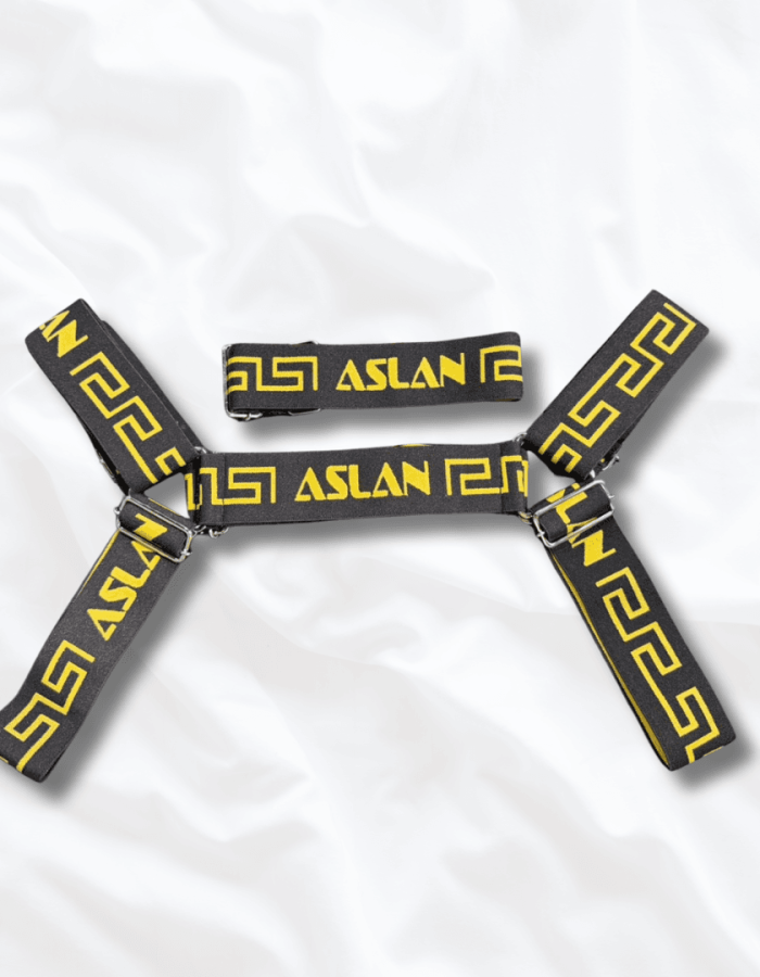 Harness Preto e Dourado