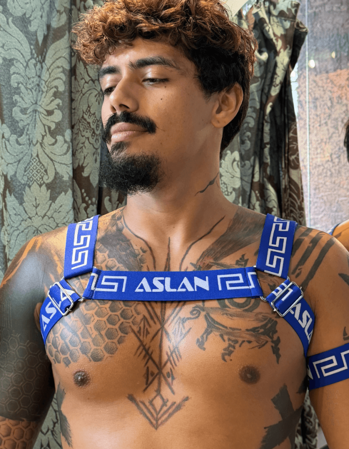 Harness Azul Royal Fire