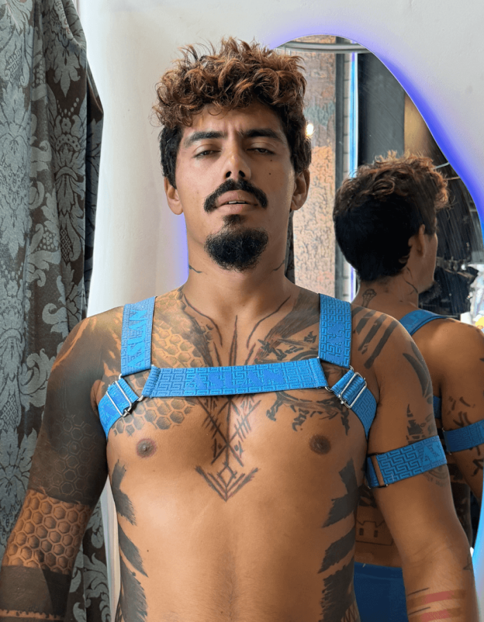 Harness Deus Gregos Poseidon