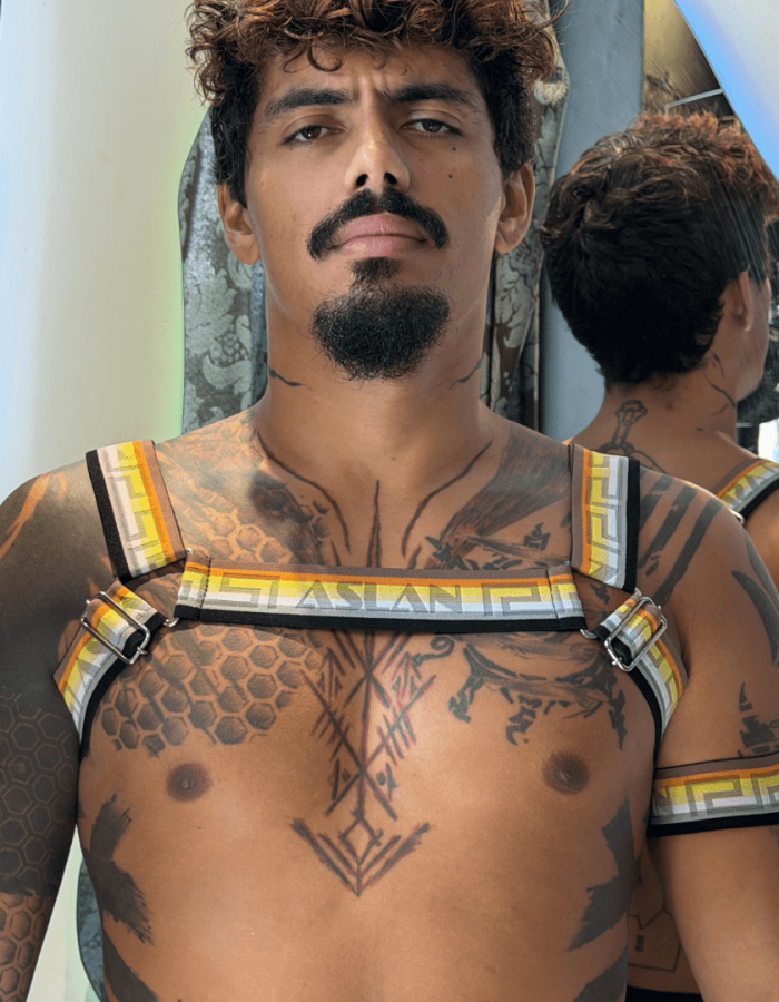 Harness Ursos