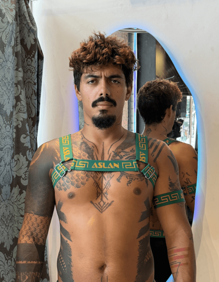 Harness Brasil