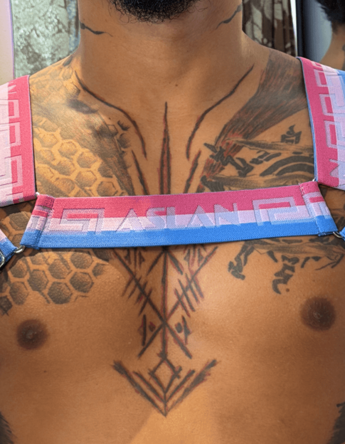Harness Bandeira Bi