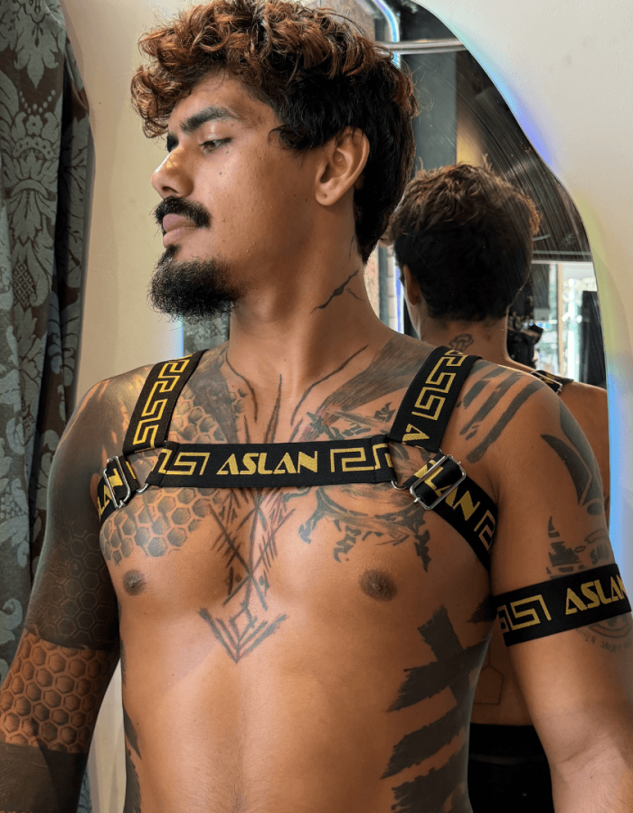 Harness Preto e Dourado