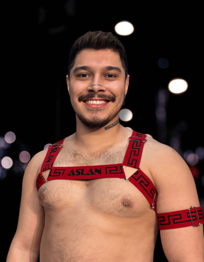 Harness Vermelho em elástico Aslan H