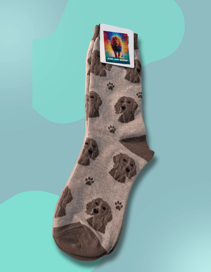 Meia Dog 62
